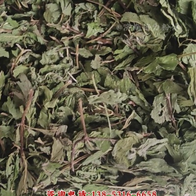 薄荷叶低温超微粉碎机