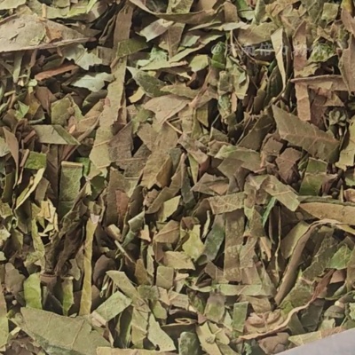 枇杷叶低温超微粉碎机