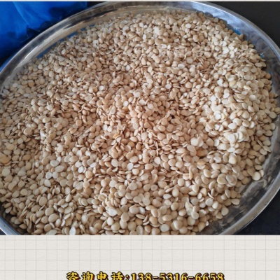 杏仁低温超微粉碎机